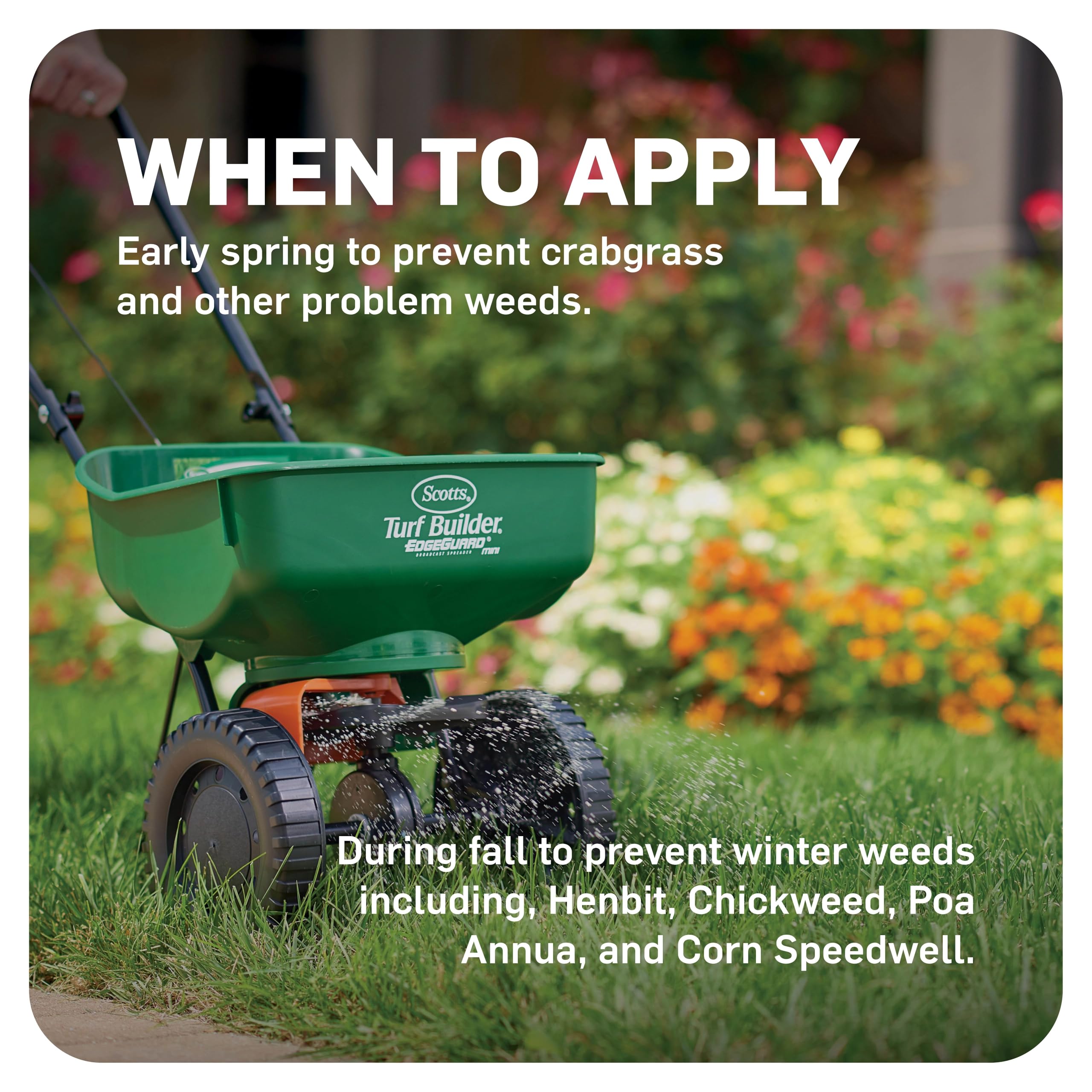 Spring application of Scotts WeedEx Prevent with Halts for pre emergent weed control