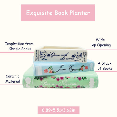 Scuyari ceramic planter wide top opening fits orchids and succulents