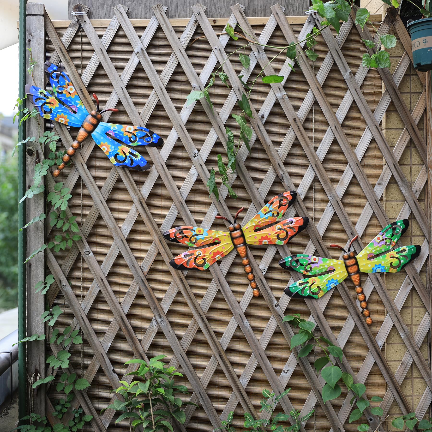 Scwhousi dragonfly wall art brightens indoor living spaces with 3-pack charm.