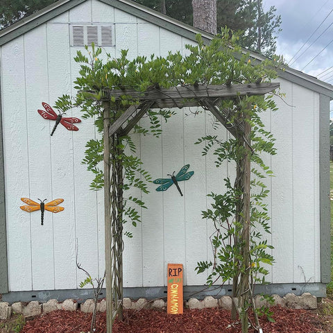 Three dragonfly ornaments arranged for outdoor garden charm.