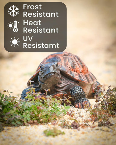 Sdeetesamjun turtle statue medium-size versatile placement options.