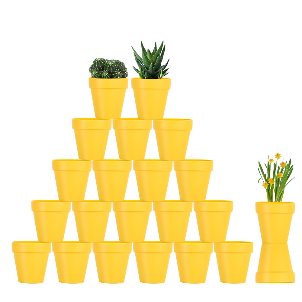 Sderoq 3-inch terracotta pot with drainage hole, ideal for succulents and cacti.
