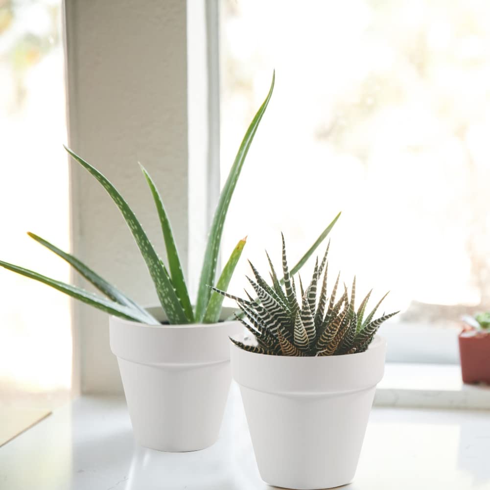 Sderoq DIY craft display with terracotta pots for rustic decor