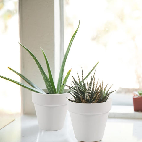 Sderoq DIY craft display with terracotta pots for rustic decor