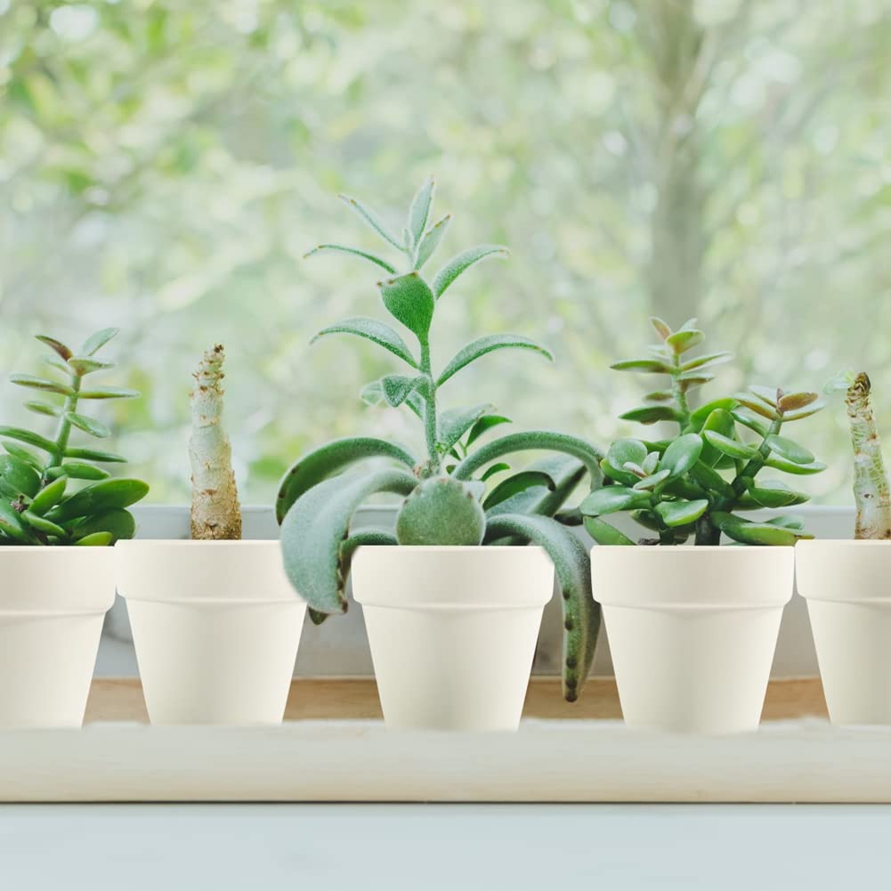 Sderoq wedding favor ideas using terracotta pots for handmade decor