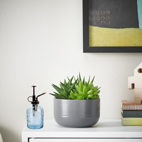 SDlumeiy antique brass pump top for easy one-handed watering.