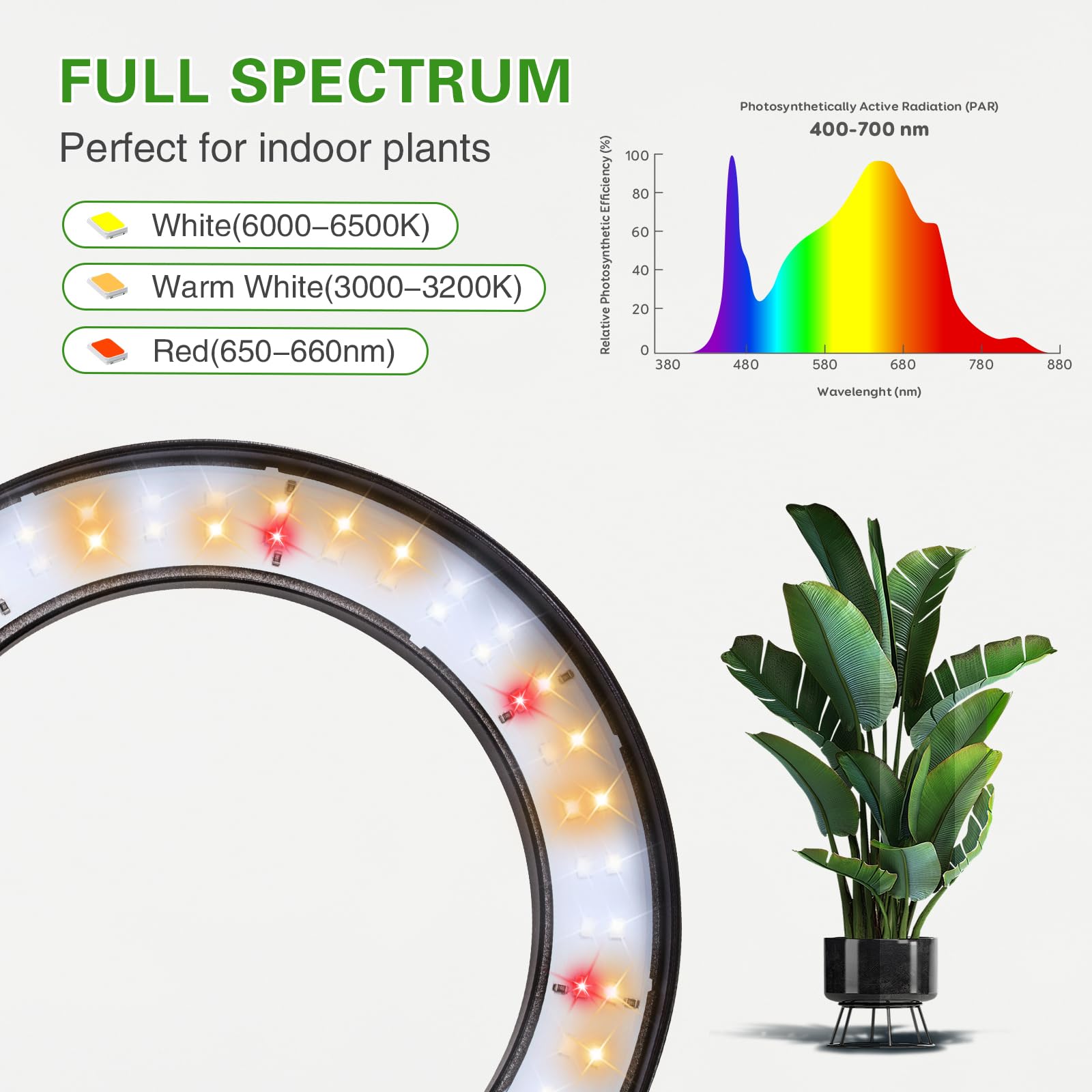 SDOVUERC adjustable-height stand adapts to tall plants