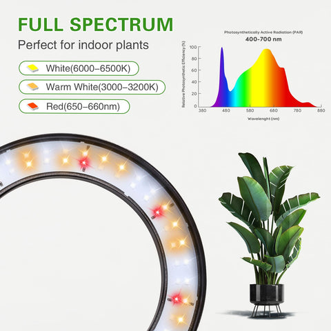 SDOVUERC adjustable-height stand adapts to tall plants