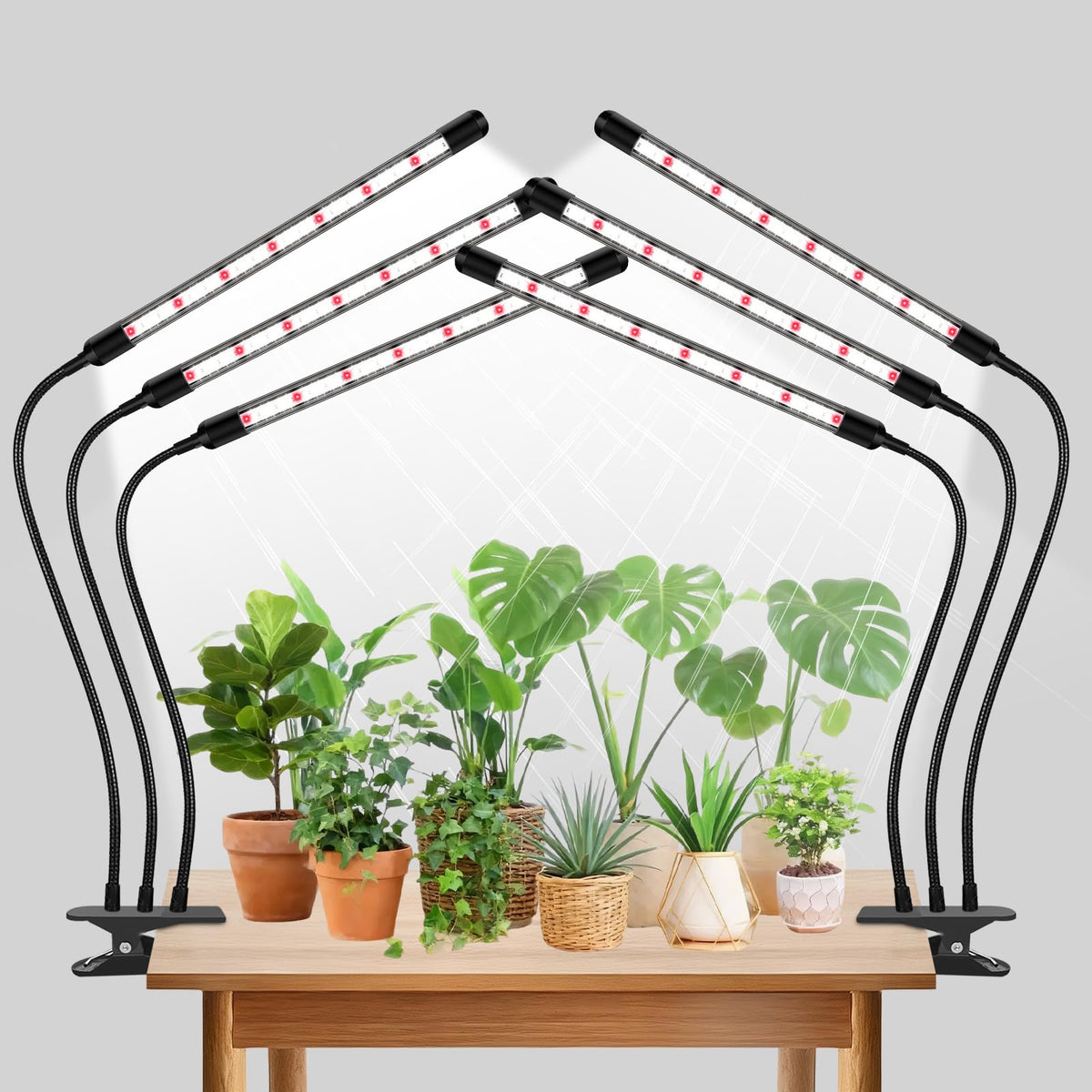 SDOVUERC Tri-Heads grow light setup with adjustable heads for indoor seedlings.