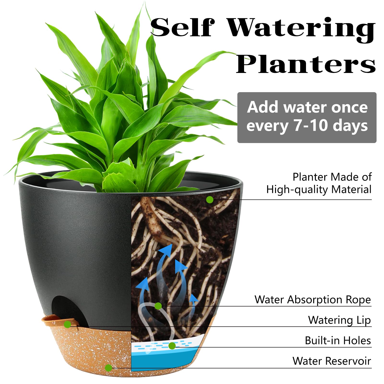 SE SUN-E drainage hole detail, promotes healthy root air circulation.