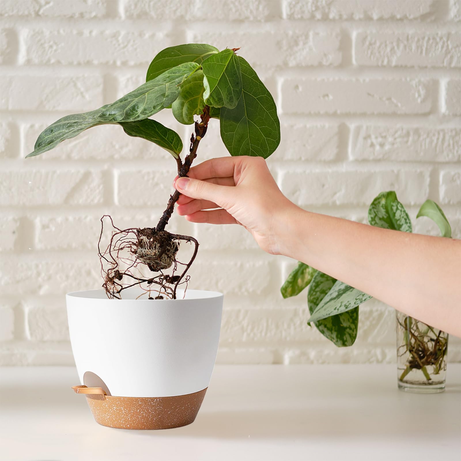 SE SUN-E white self-watering pot emphasizing drainage lip and air flow