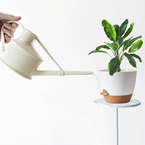 SE SUN-E five-pack set of white planters for versatile indoor styling