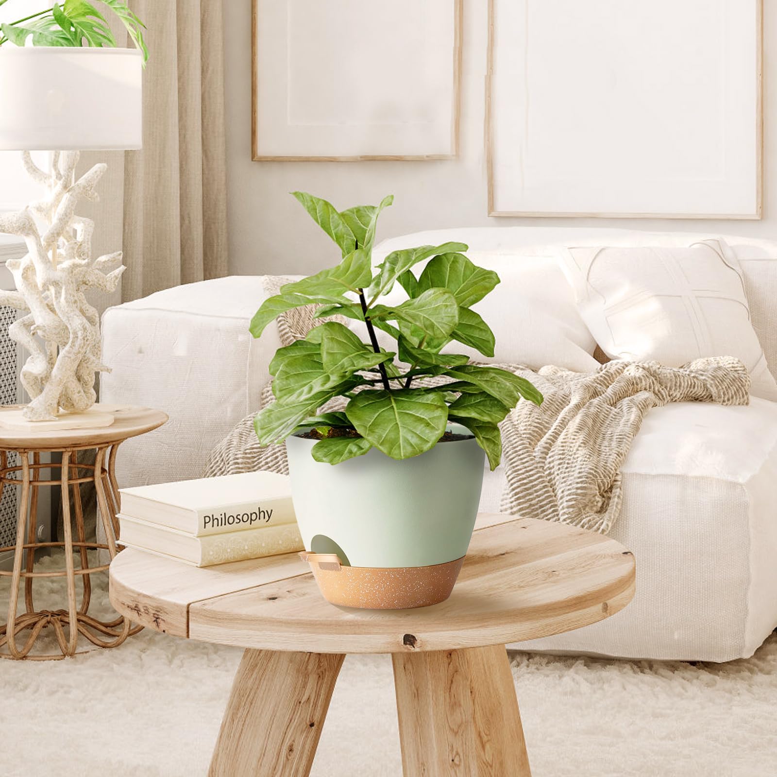 SE SUN-E five-size set fits small to medium plants.