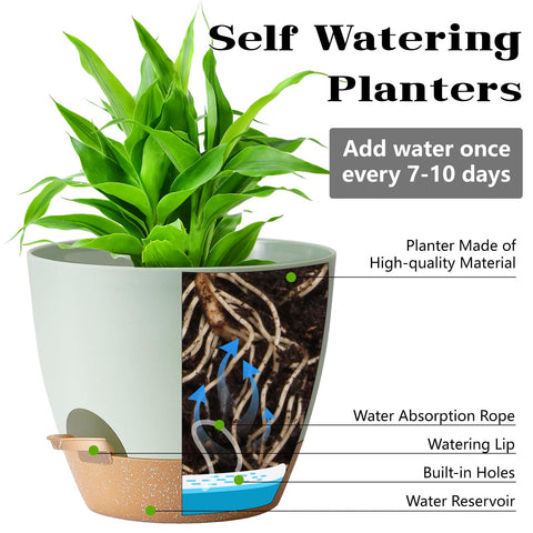 SE SUN-E green plastic planter with saucer catches excess moisture for tidy display.