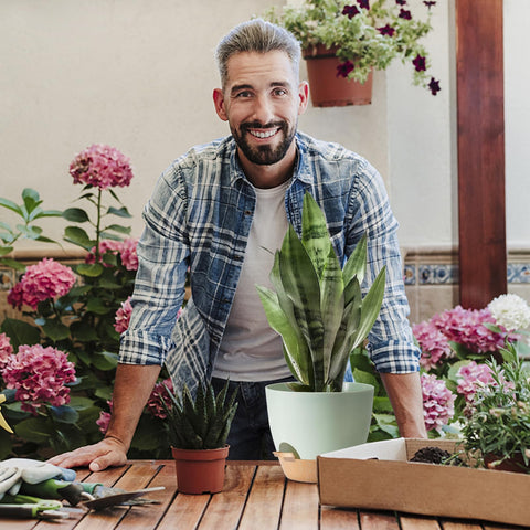 SE SUN-E ideal gift for plant lovers seeking chic home décor.