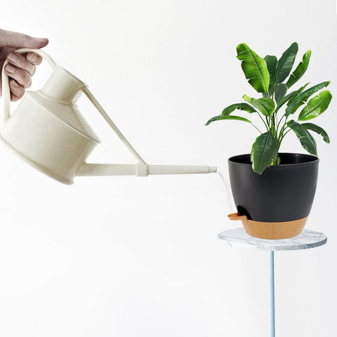 SE SUN-E packaging includes five-piece planter set.