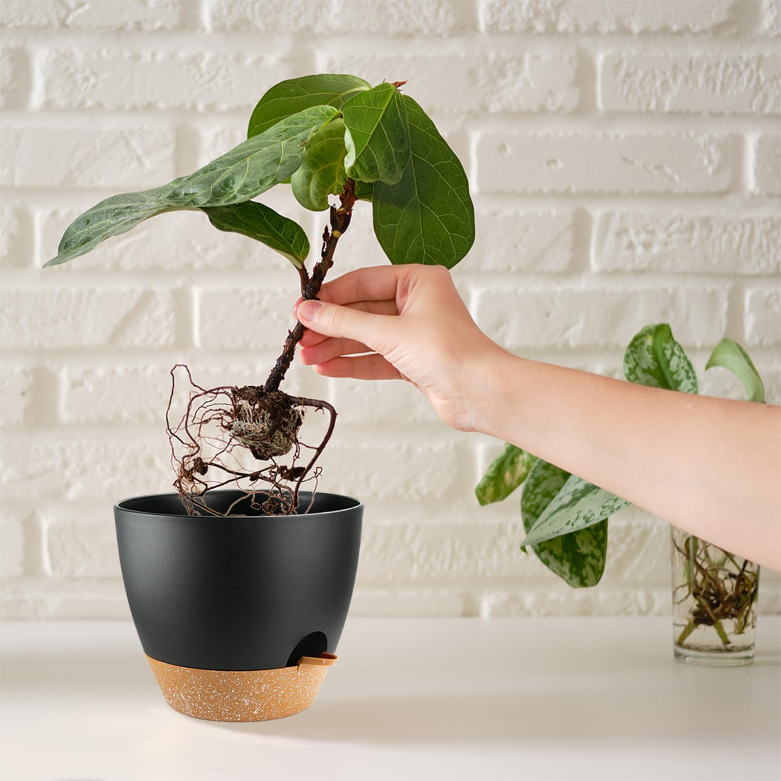 SE SUN-E polypropylene material, durable and lightweight.
