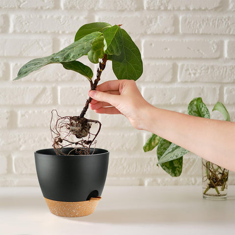 SE SUN-E polypropylene material, durable and lightweight.