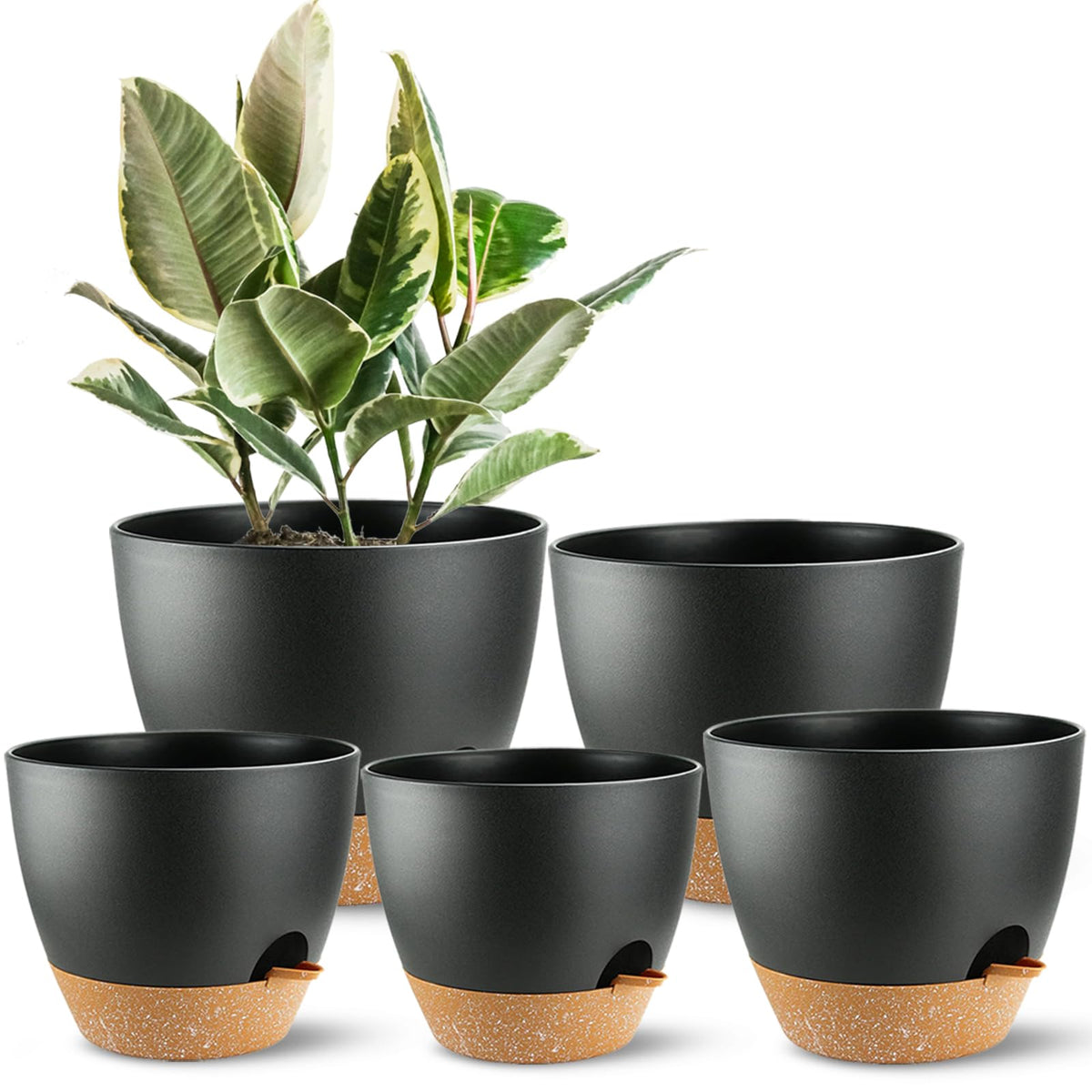 SE SUN-E self-watering planter set, front view, enhances indoor plant arrangement.