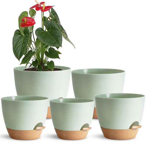 SE SUN-E self-watering planter set 5 green on desk keeps soil moist.