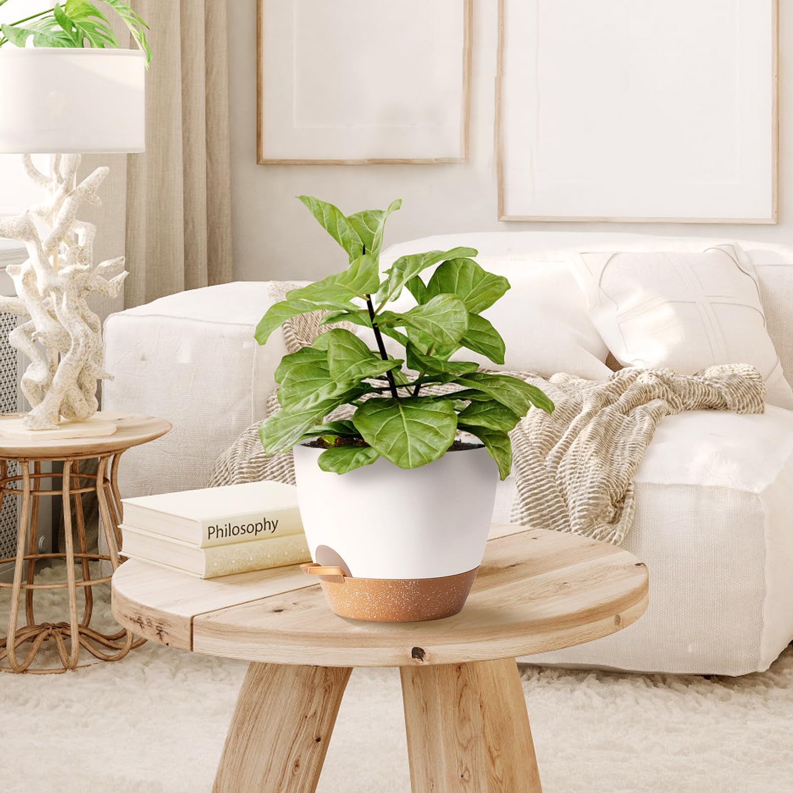 SE SUN-E 5-inch white planter ready for small indoor plants