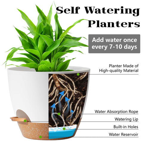 SE SUN-E 6.5-inch white self-watering pot showing drainage holes for healthy roots