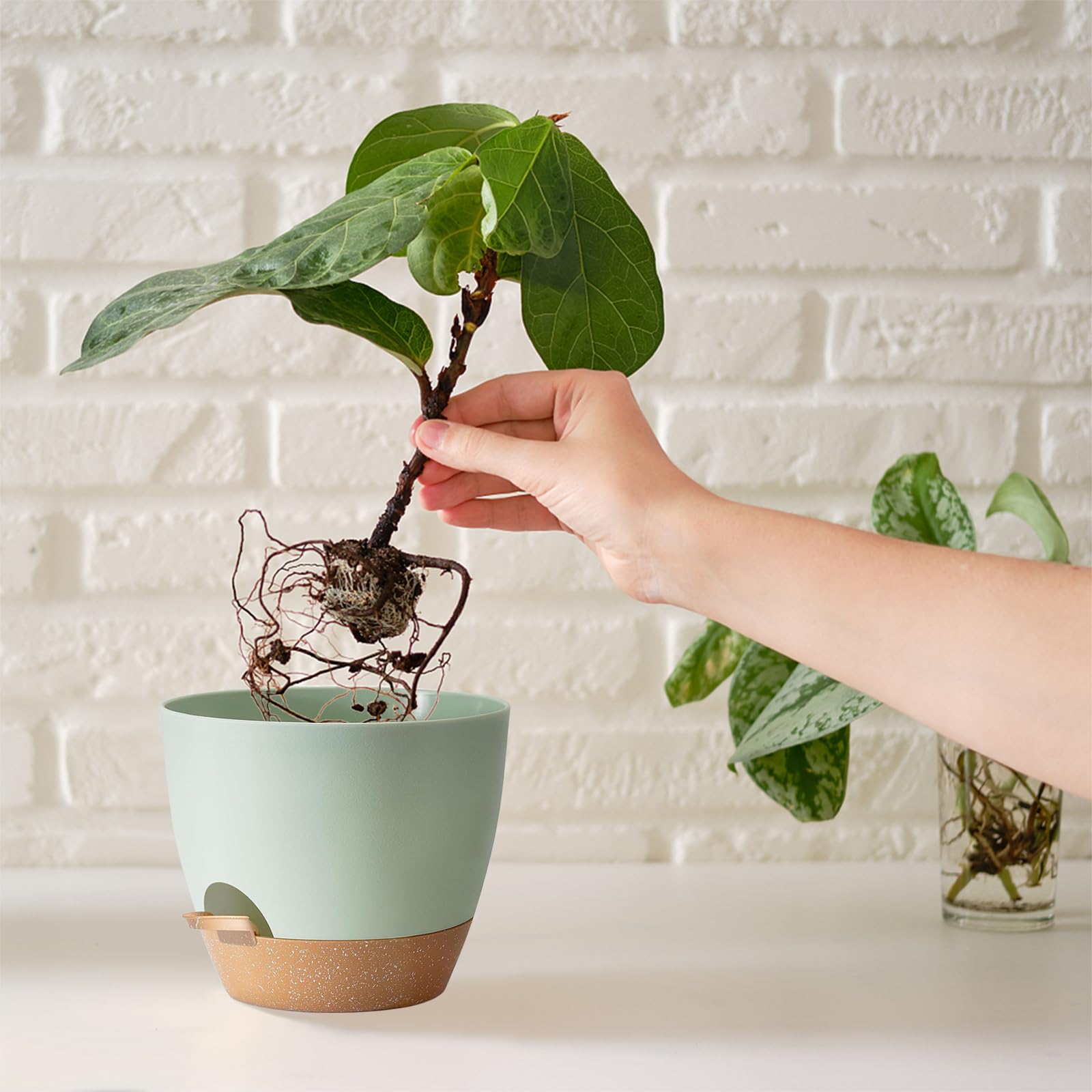 SE SUN-E side-lip refilling makes watering simple.