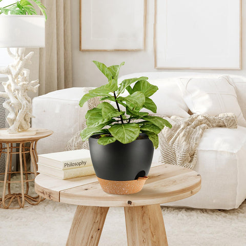 SE SUN-E varied sizes for small to medium plants.