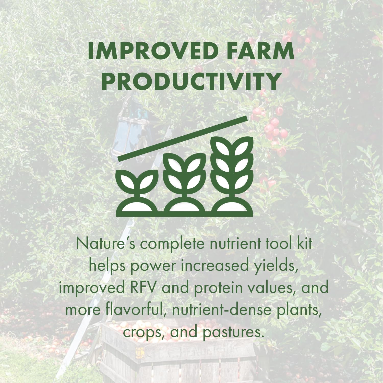 SEA-90 organic certification label confirming organic production suitability