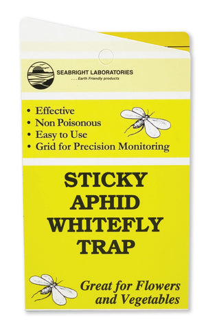 SeaBright yellow sticky aphid trap pack 15 front view for pest monitoring