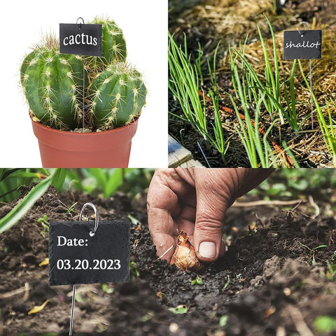 Seadiquiet garden stake hanger for effortless organization of herbs and vegetables.