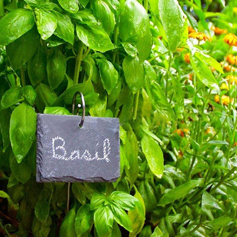 Seadiquiet outdoor garden organizer helps tidy containers and beds.