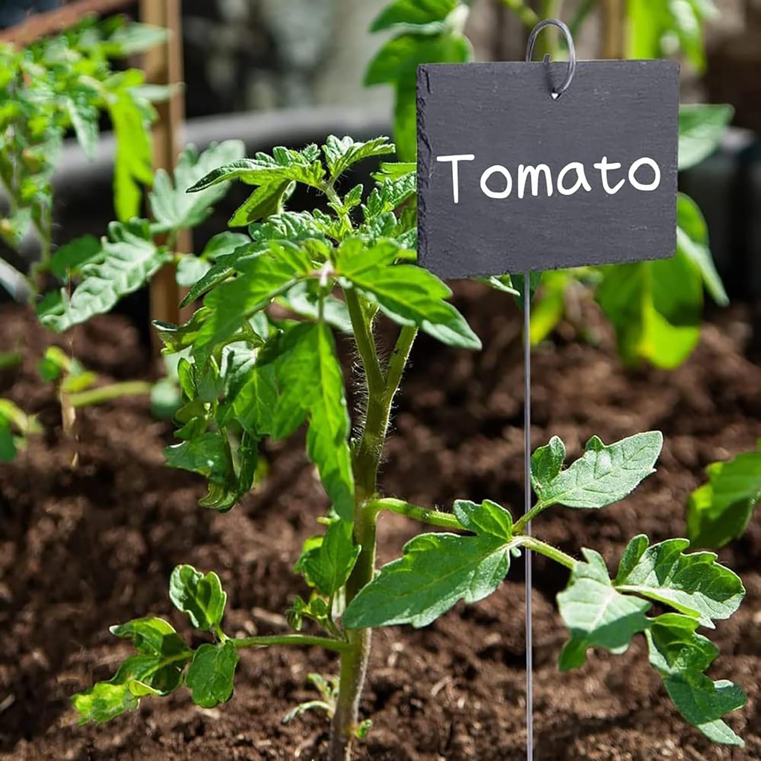 Seadiquiet plant marker holder ensures visibility and quick plant identification.