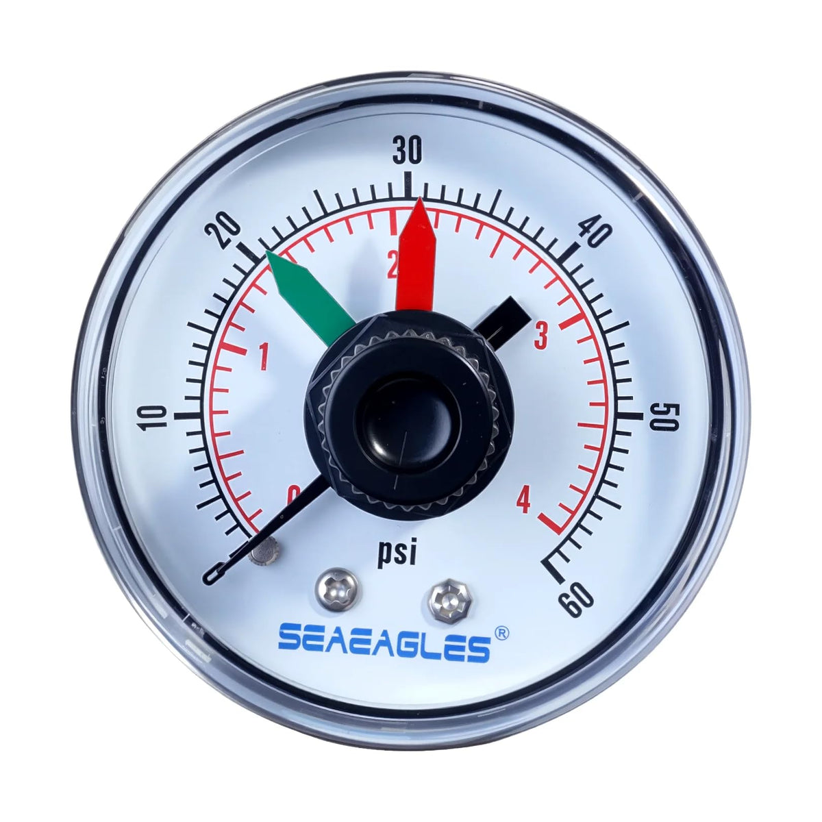 SeaEagles ECX2712B1 gauge face with clear 0-60 psi scale for Hayward filters.