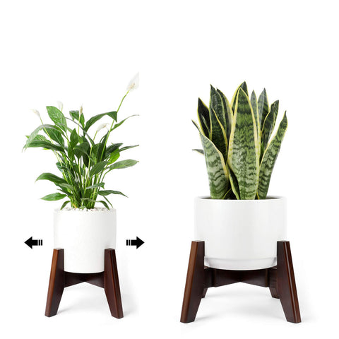 Seanmi bamboo plant stand in dark brown frames indoor greenery on a shelf