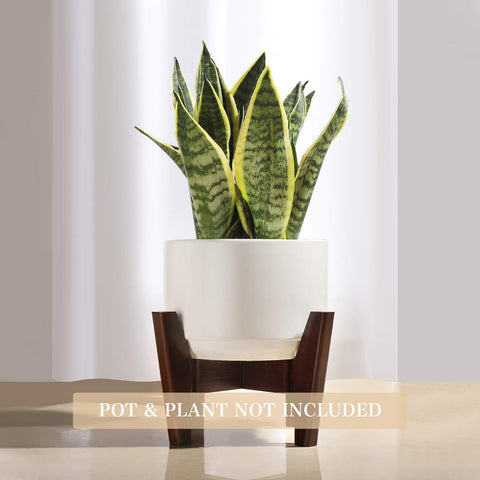 Seanmi mid-century plant stand adds warm, stylish flair to rooms