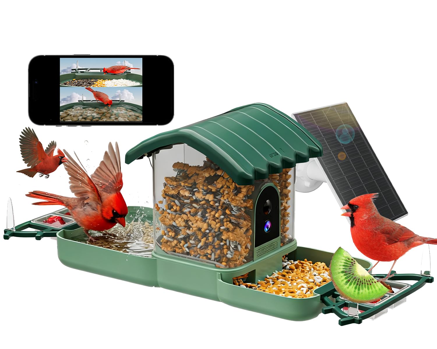 SECUHOME dual-lens bird feeder camera showing feeding and bathing zones for detailed wildlife viewing.