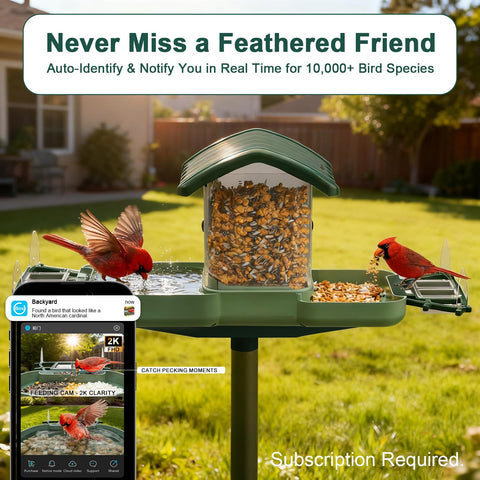 SECUHOME solar-powered outdoor feeder camera demonstrating cord-free operation.