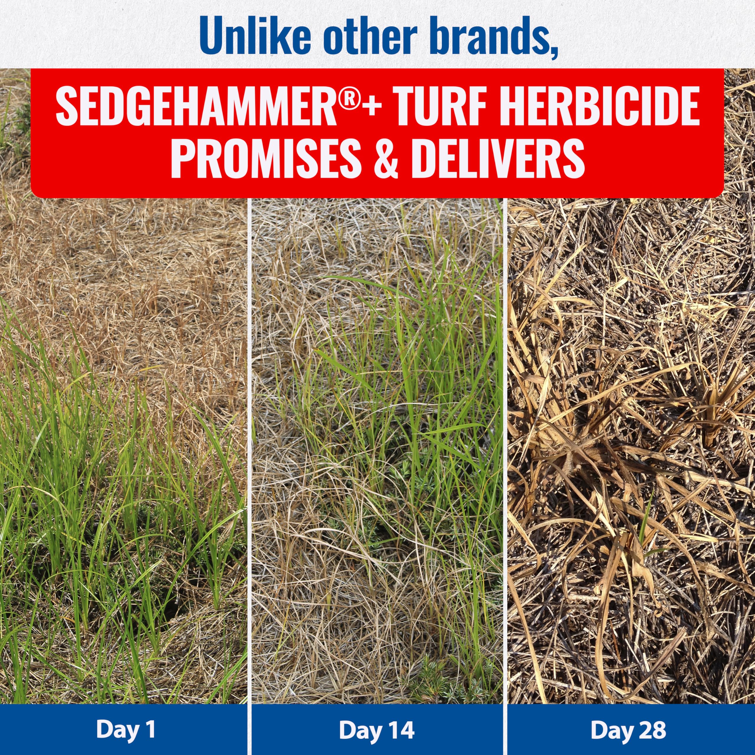 SEDGEHAMMER Plus application process captured for consistent turf coverage.