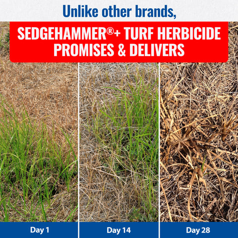 Sedgehammer Plus Turf Herbicide coverage graphic indicates up to 1,000 sq ft of control.
