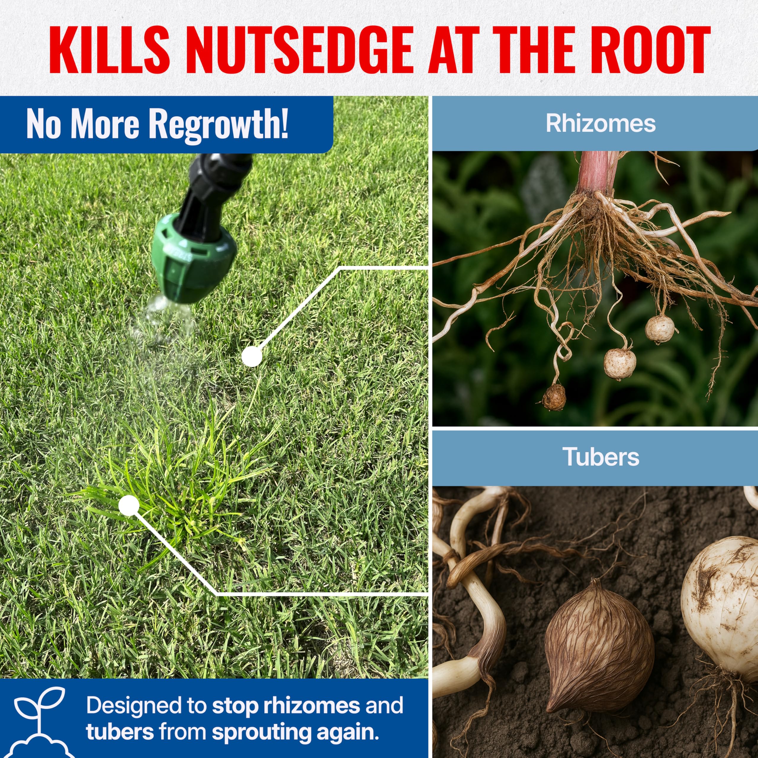 Sedgehammer Plus Turf Herbicide pet-drying area demonstrates safe outdoor re-entry after drying.