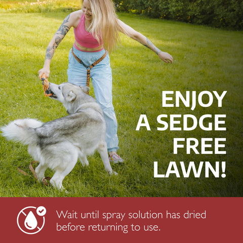 SEDGEHAMMER Plus lawn treatment delivering cost-effective weed control