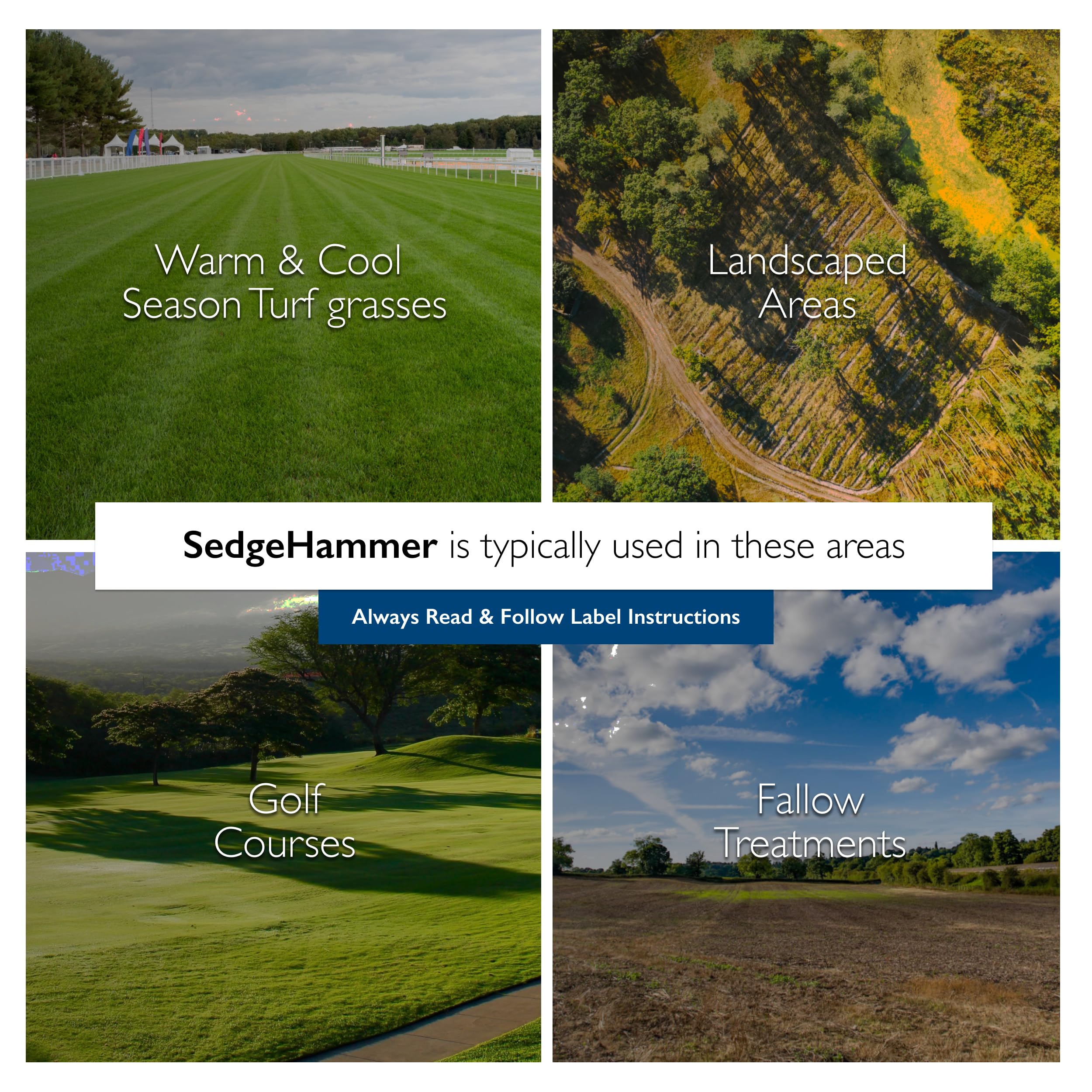 Residential turf application using SEDGEHAMMER for weed management
