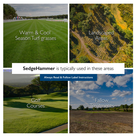 Residential turf application using SEDGEHAMMER for weed management