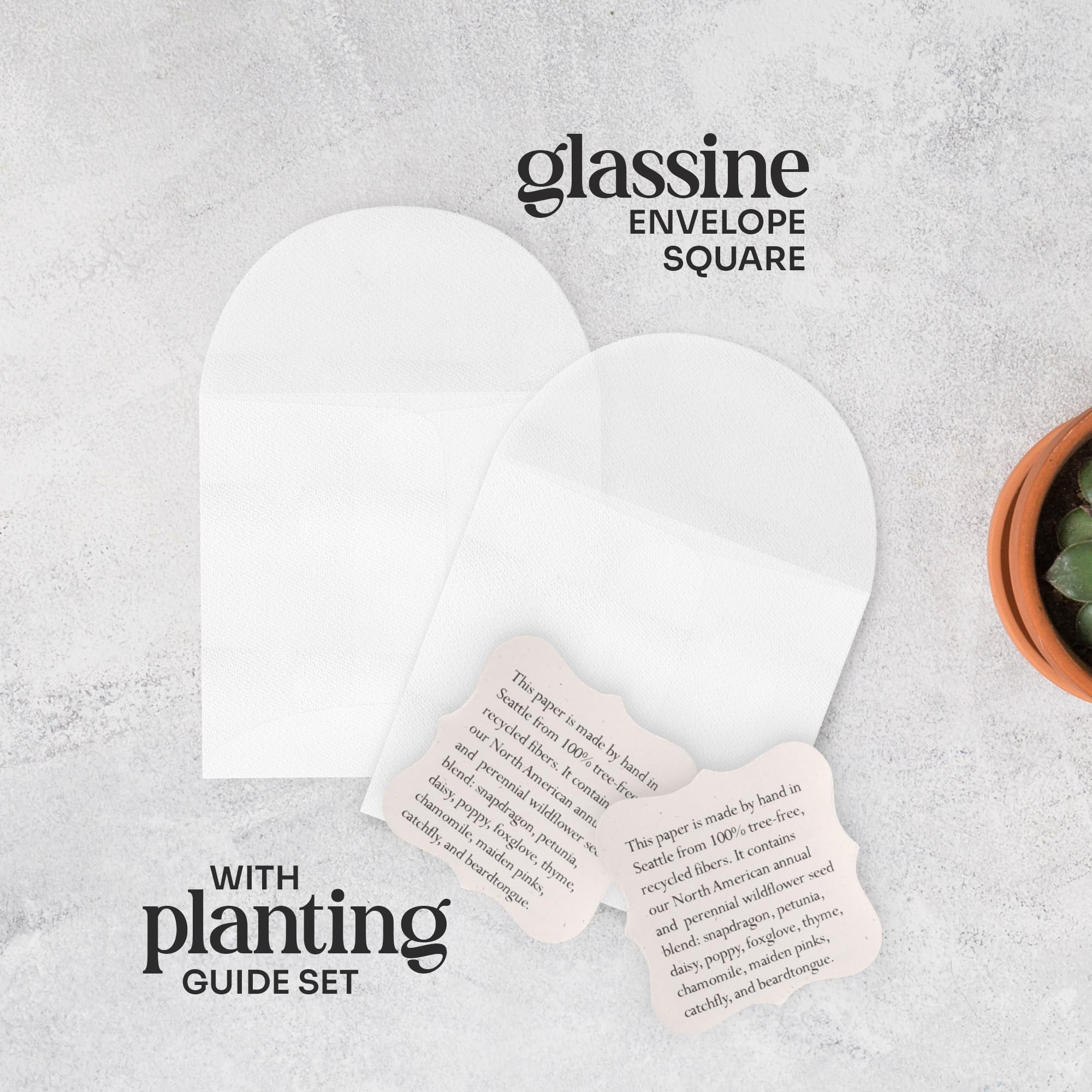 Seed Bloom complete gift set perfect for weddings, mother’s day, and parties.