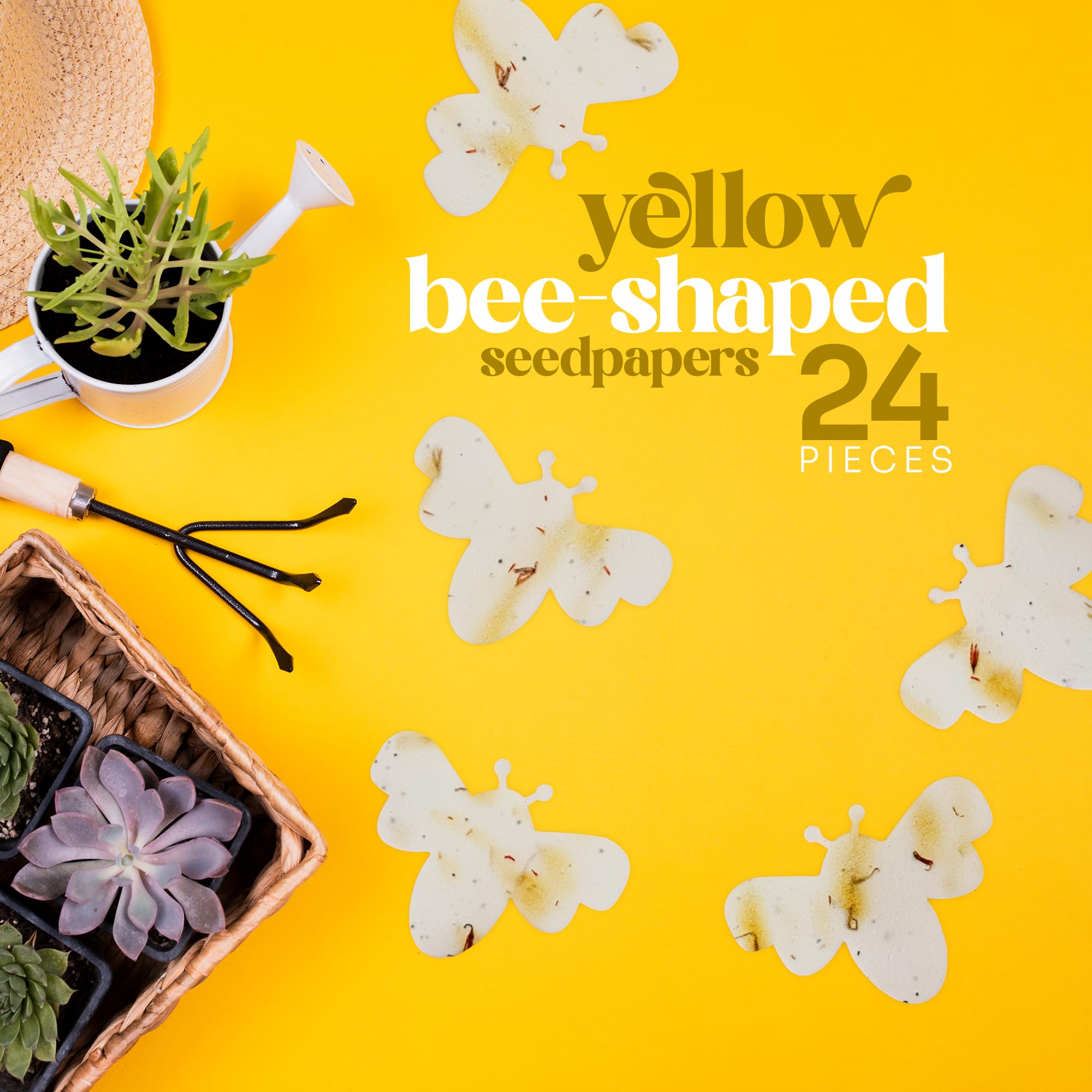 Seed Bloom glassine envelopes for 24 seed papers with neat gift packaging