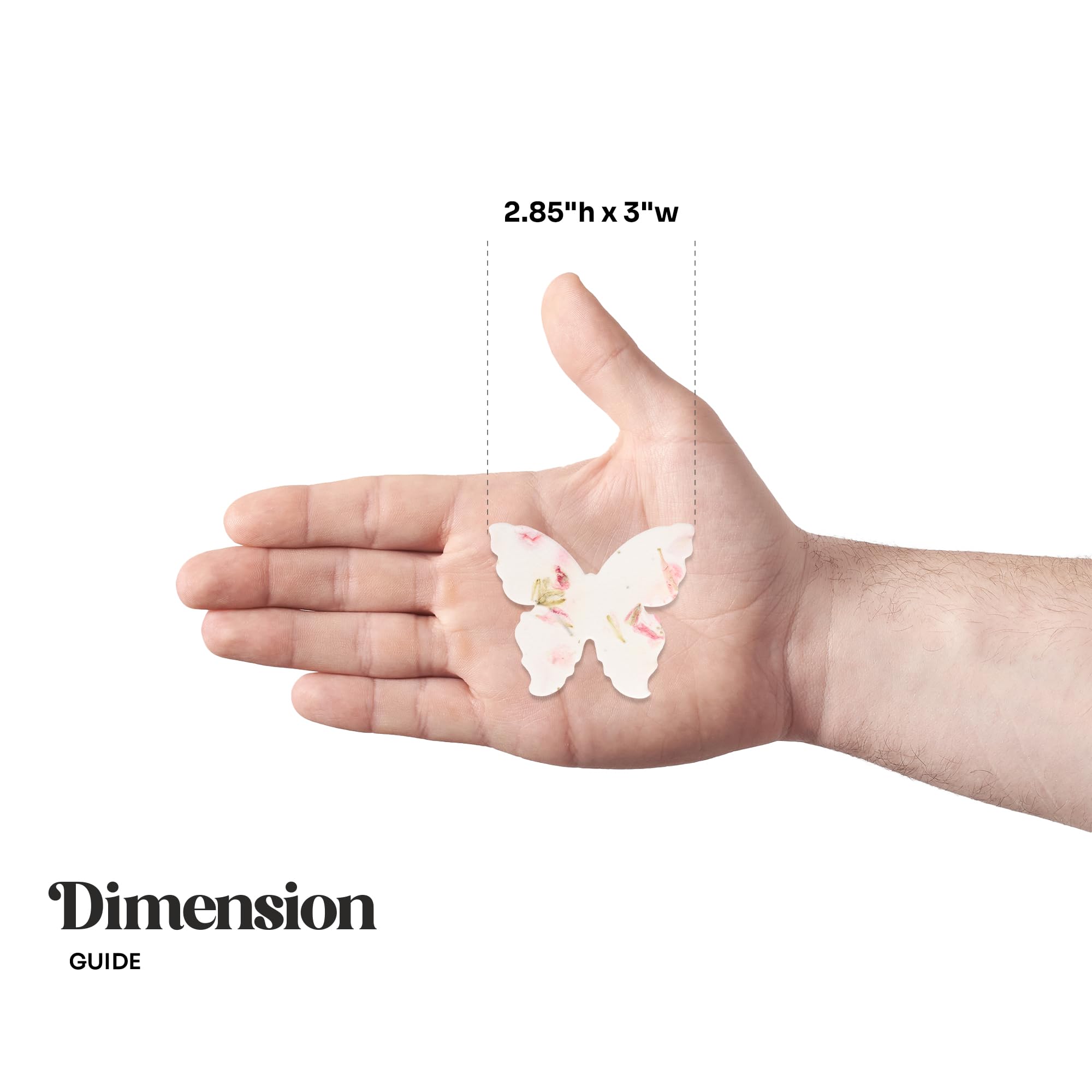 Seed Bloom glassine envelopes protect seed papers for gifting.