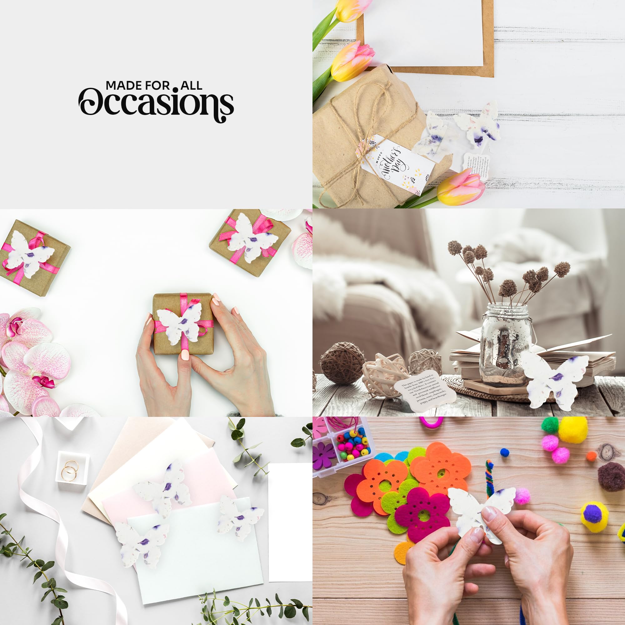 Seed Bloom glassine envelopes protect seed papers for gifting.