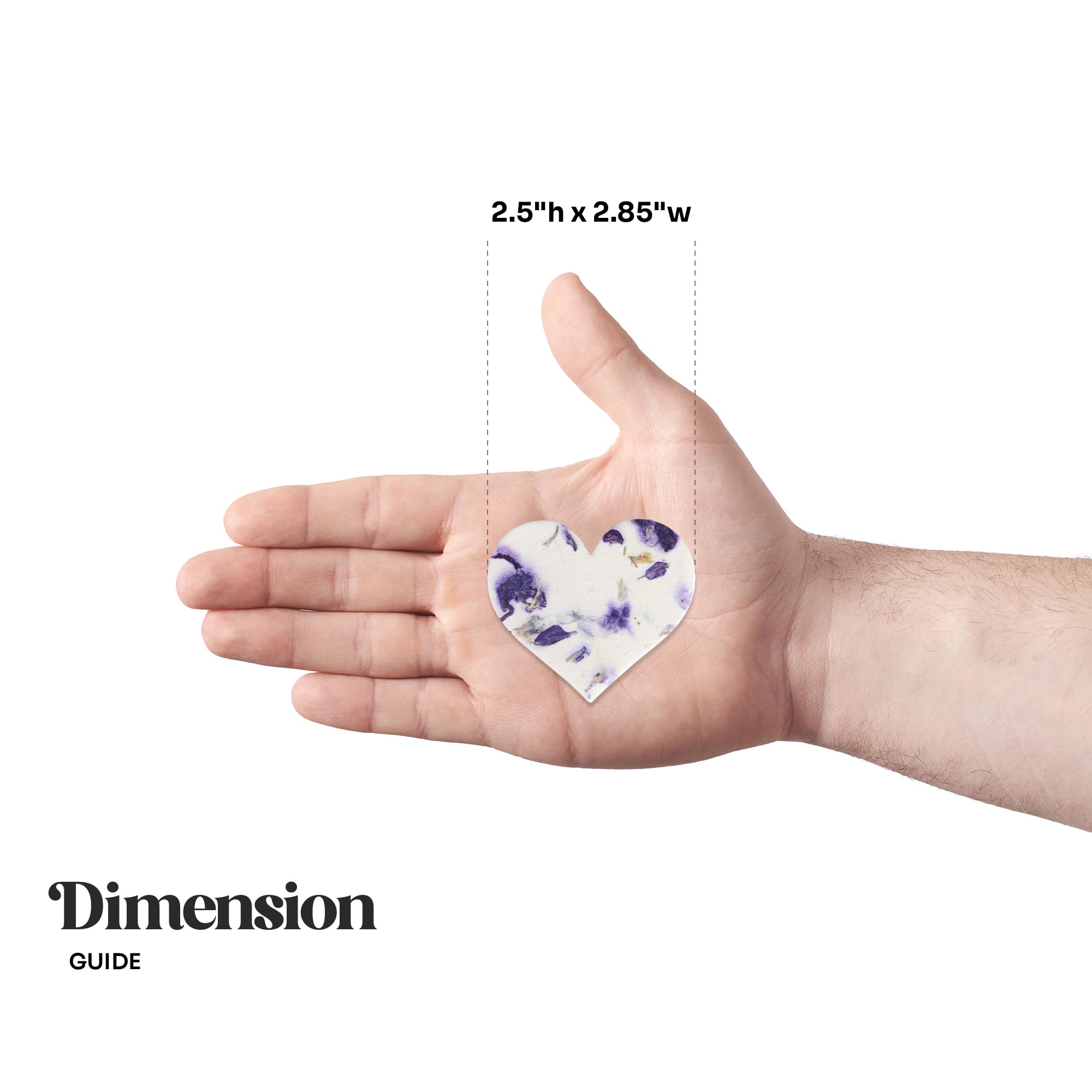 Seed Bloom glassine envelopes ideal for gifting and seed storage.
