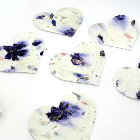 Seed Bloom life events seed paper growing into flowers